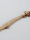 Jerusalem cross letter opener