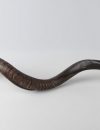 Shofar big