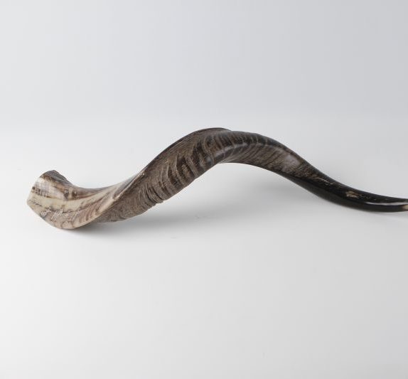 Shofar