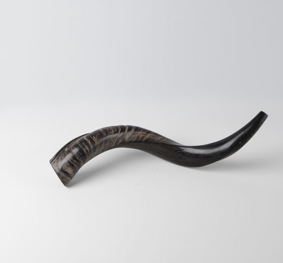 Shofar