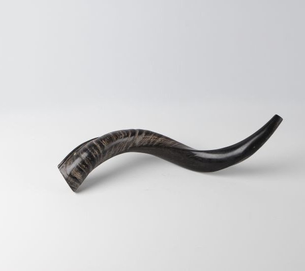 Shofar 1