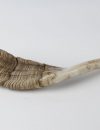 Shofar