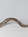 Silver shofar big