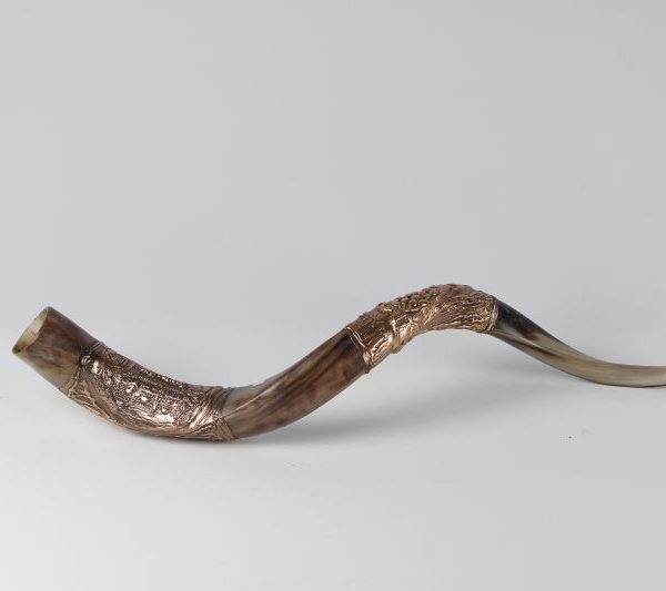Copper shofar 1